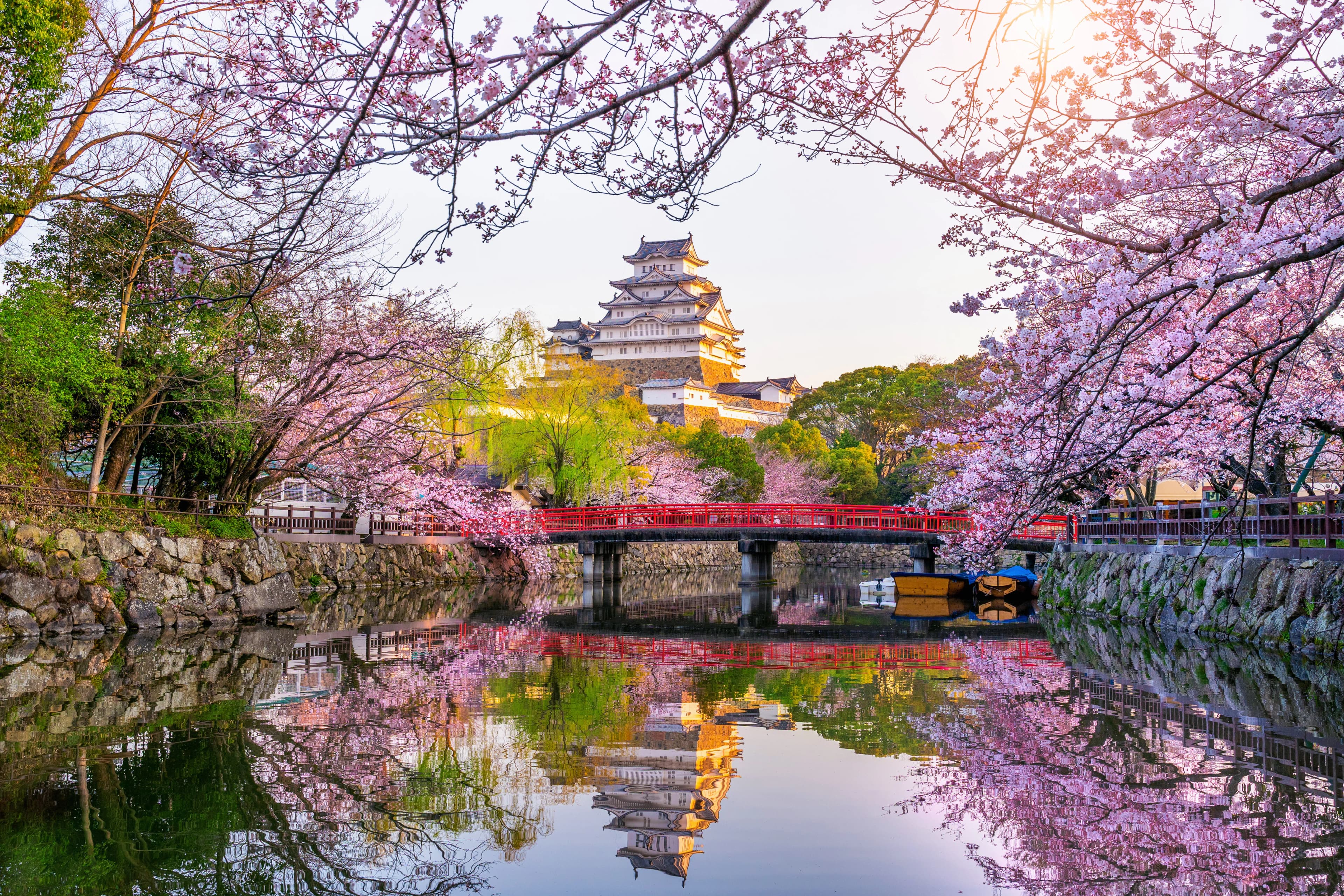 Japan