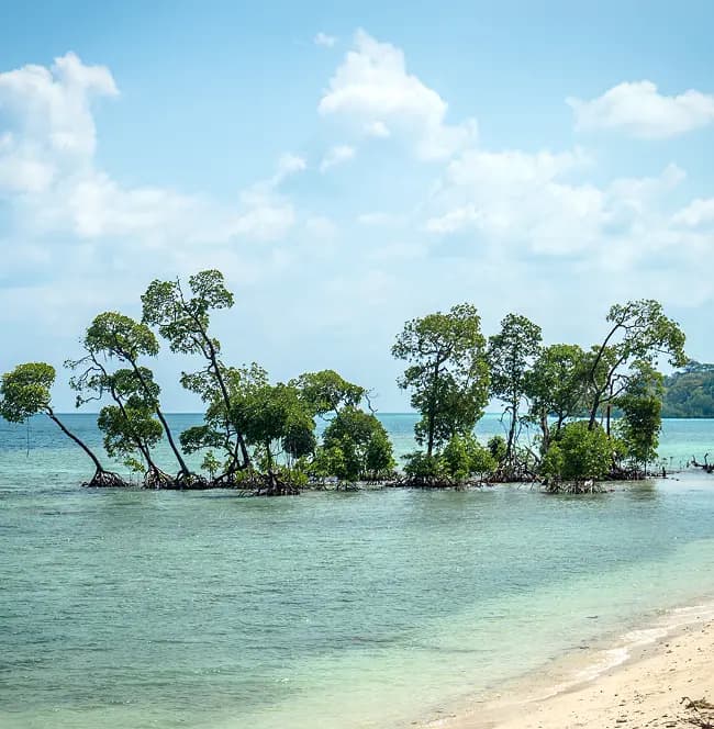 Andaman & Nicobar