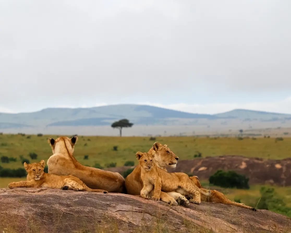 Magical kenya