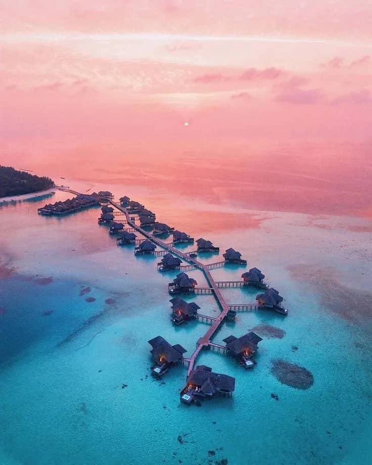 Cruises