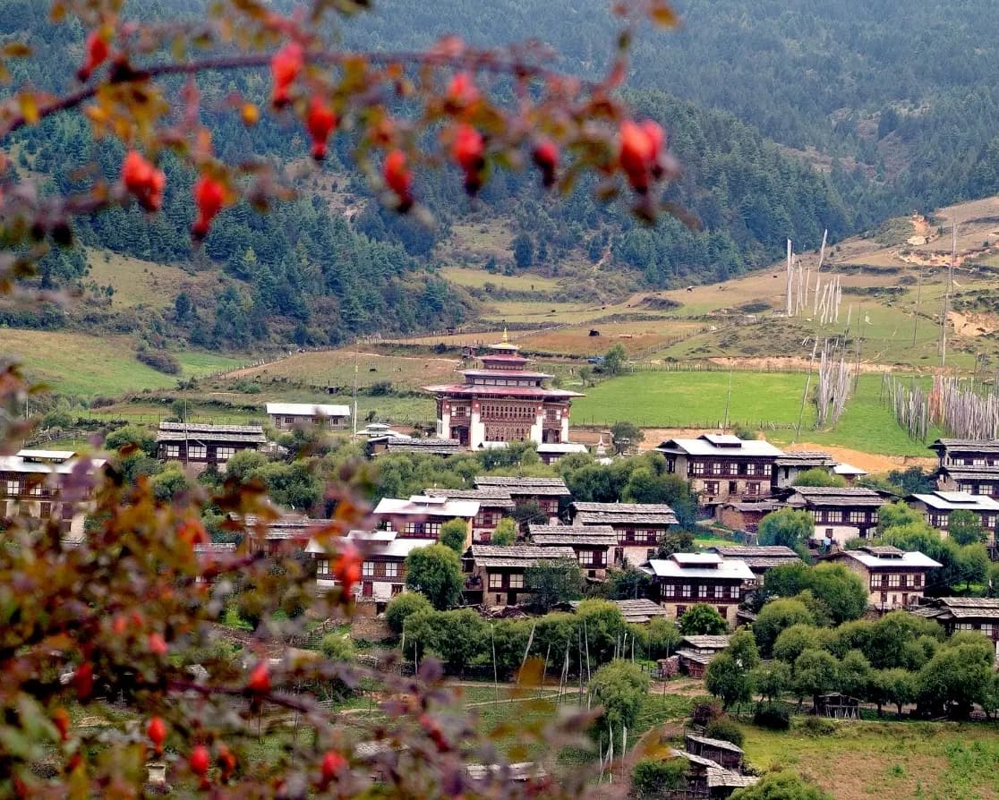 Picturesque Bhutan