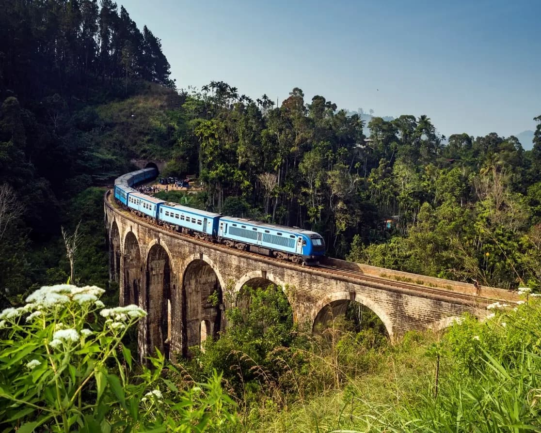 Experience The True Essence of Sri Lanka