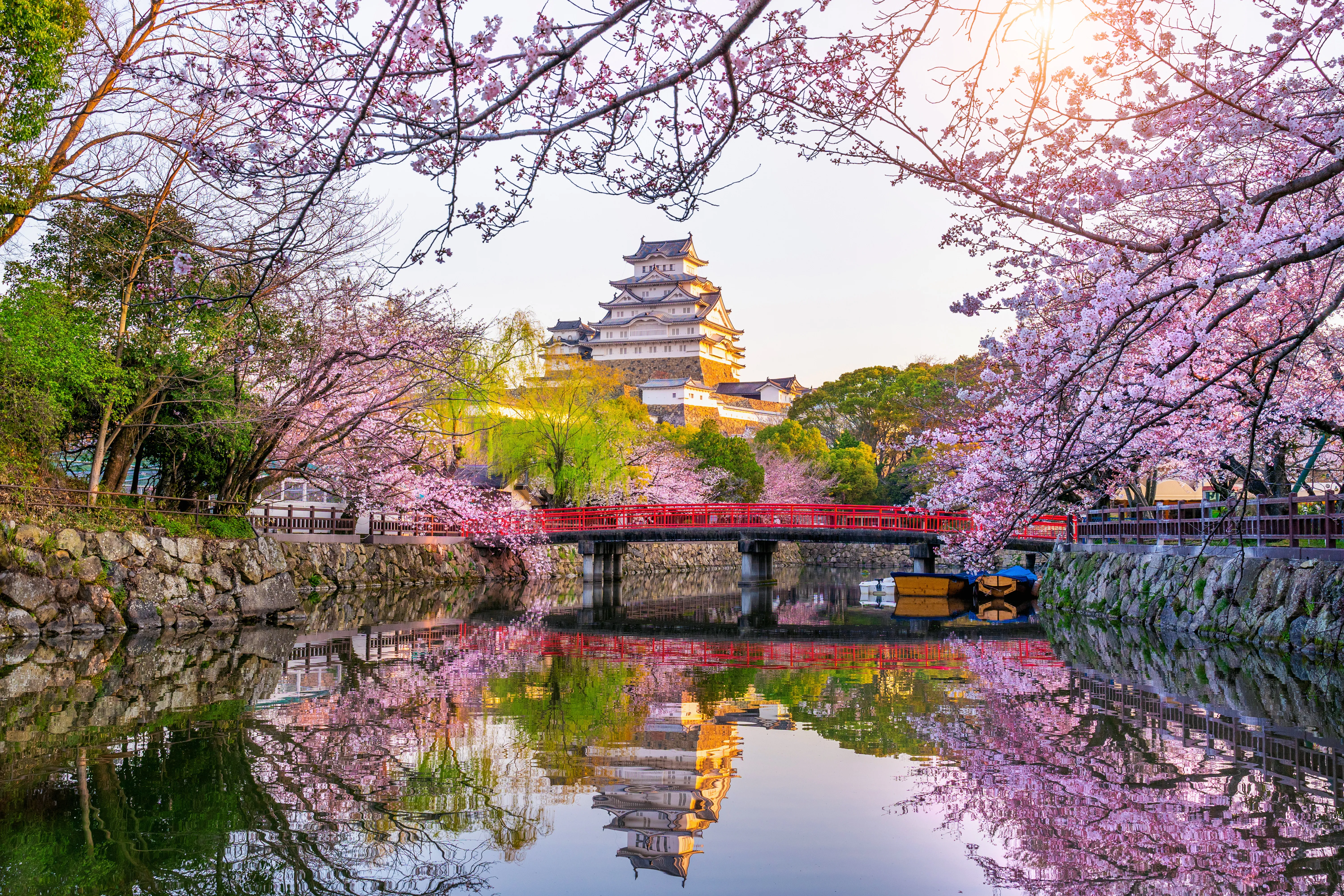 Japan