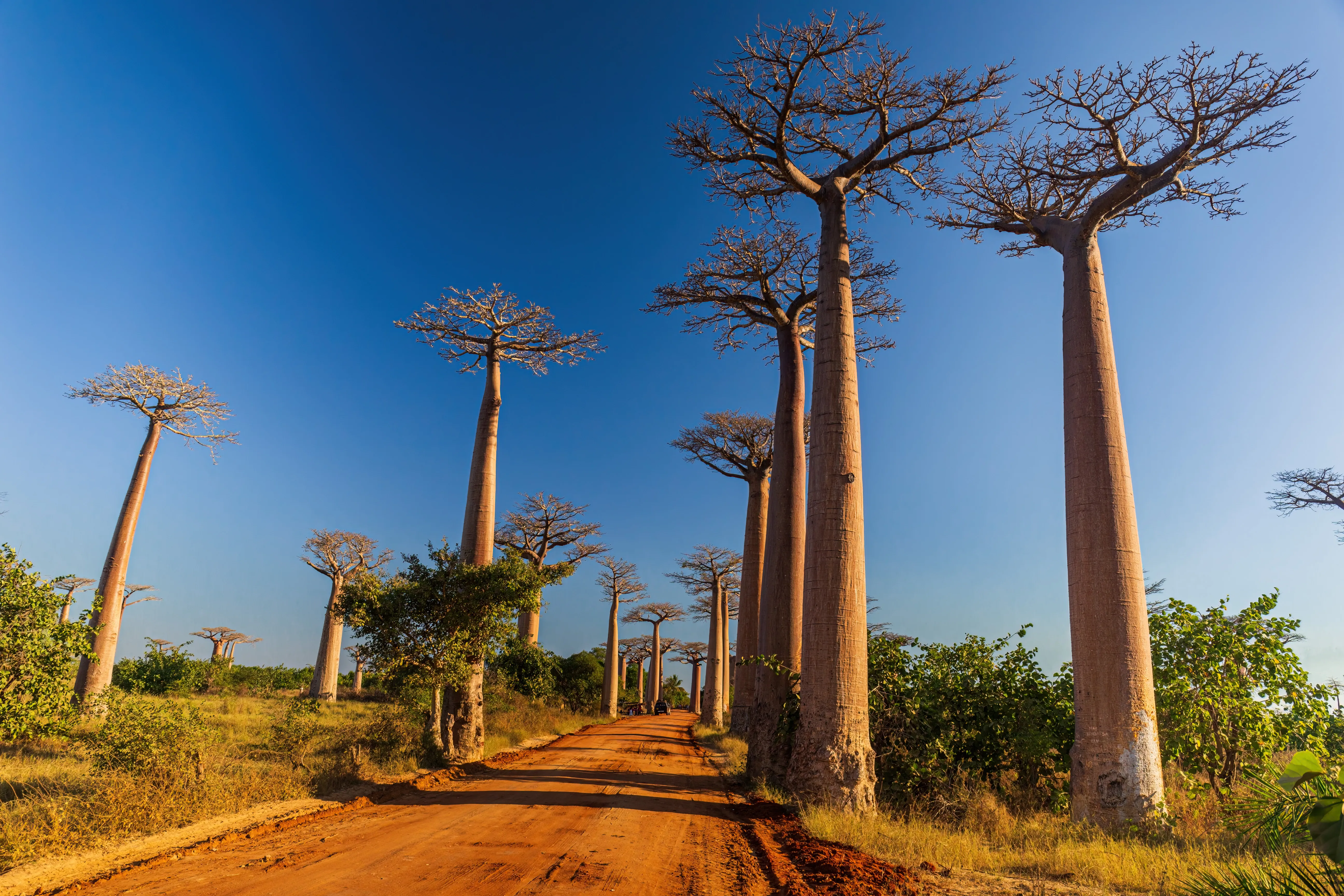 Madagascar