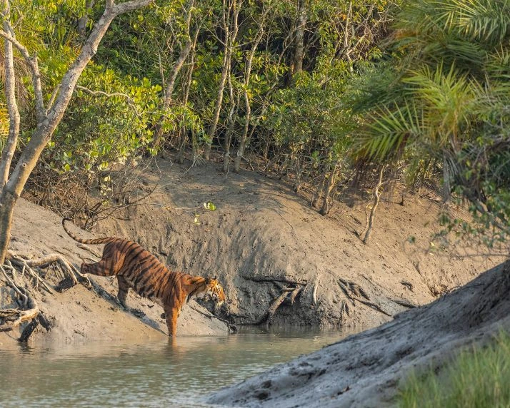 Kolkata With Sunderbans