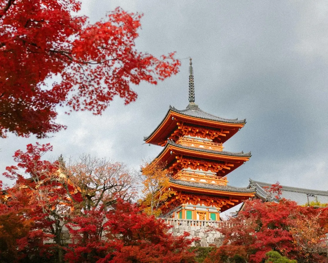 JAPAN - Land of rising Sun